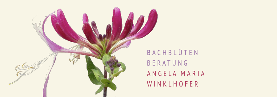 BACHBLÜTENBERATUNG ANGELA M. WINKLHOFER